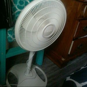 Fan